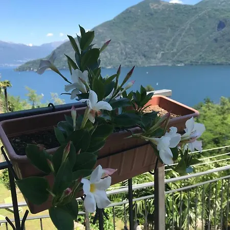 Lago Maggiore *
